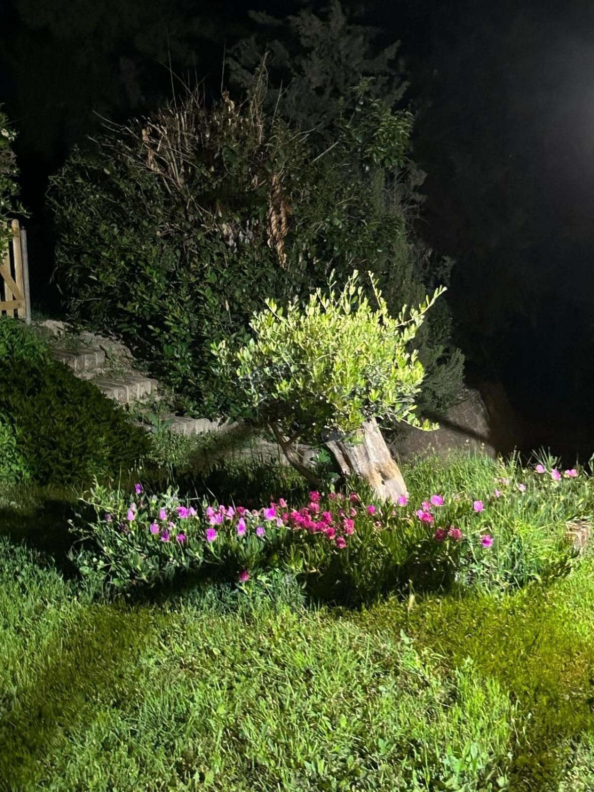 Casalustro Villa Citta Sant'Angelo Bagian luar foto